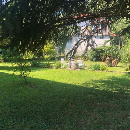 Vila Labod, Unique Villa At The Lake Most na Soči Exteriör bild